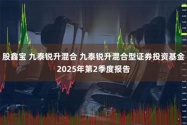 股鑫宝 九泰锐升混合 九泰锐升混合型证券投资基金2025年第2季度报告