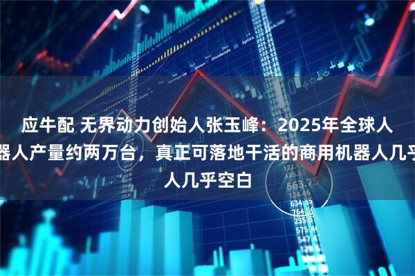 应牛配 无界动力创始人张玉峰：2025年全球人形机器人产量约两万台，真正可落地干活的商用机器人几乎空白